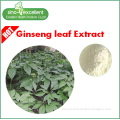 Panax Ginseng Stem & Leaf Extract